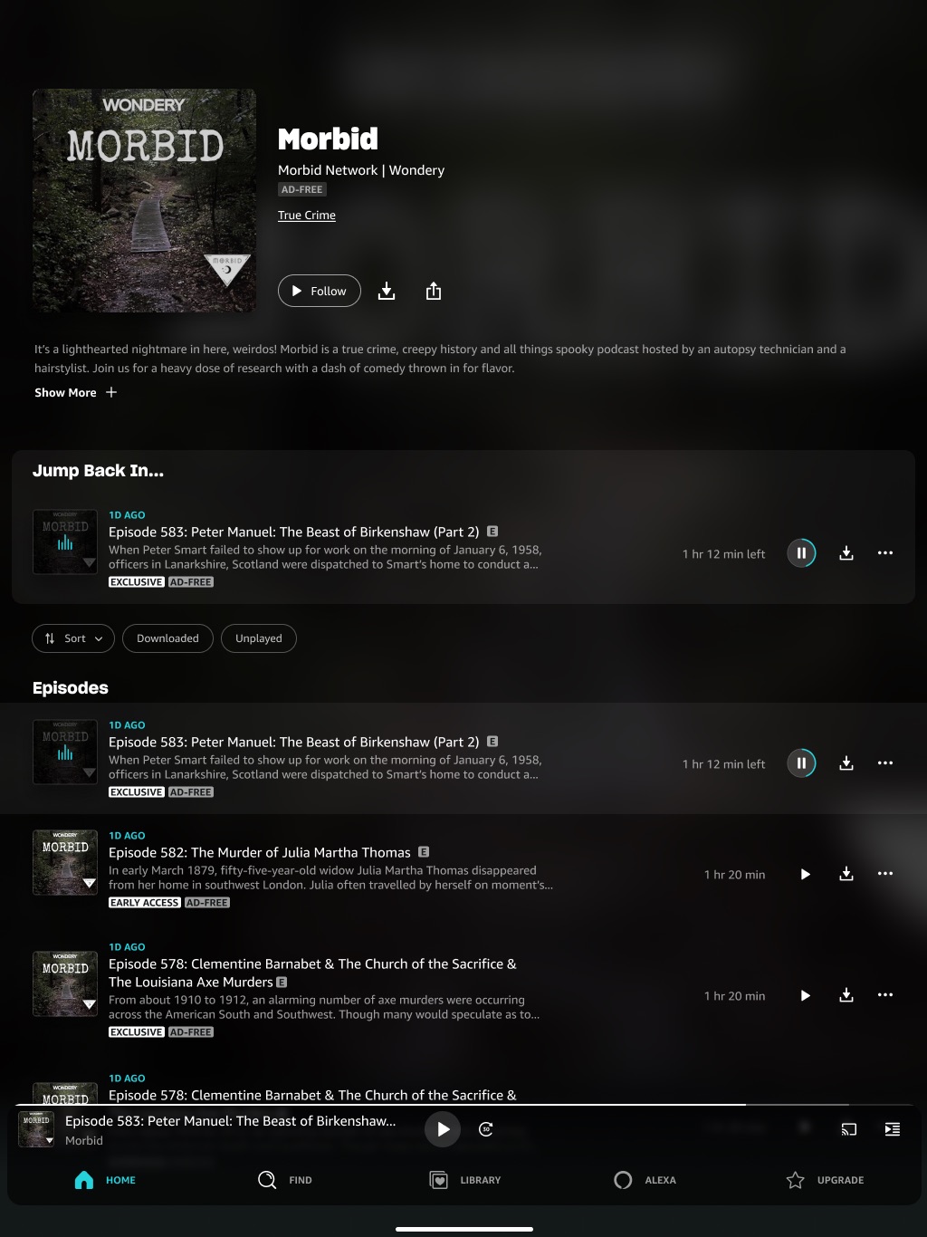Final design · Amazon Music Unlimited on iPad Pro 12.9″ portrait